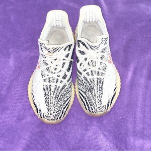 Size 11 zebra